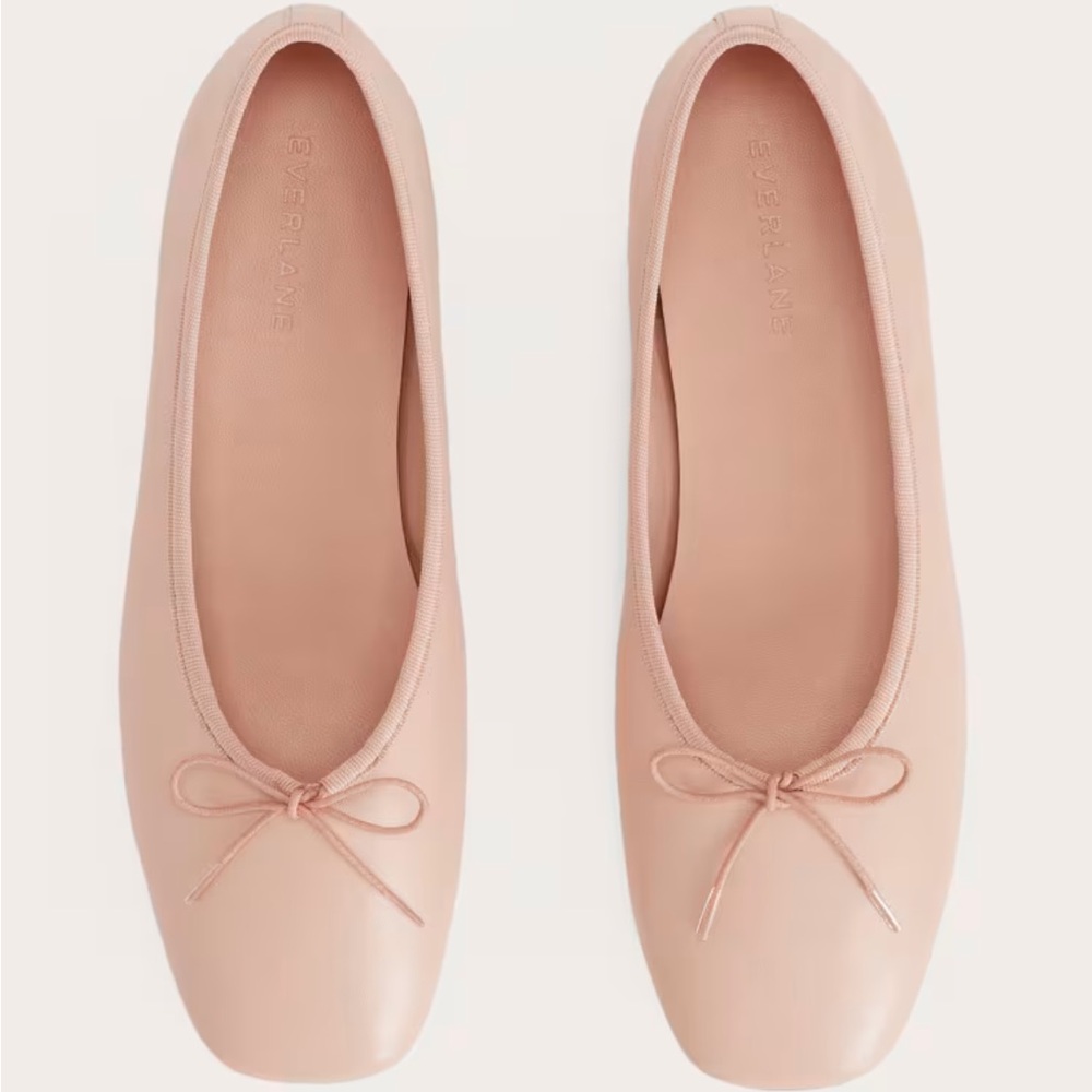BNWT Everlane the Day Ballet Flat in Pale Pink size 10